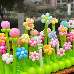 Balloon Flower